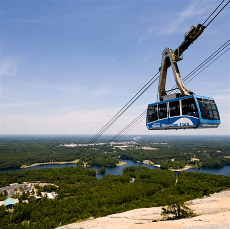 atlanta pet care stone mountain.